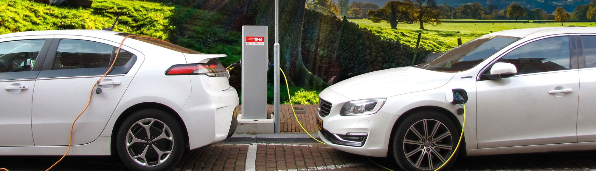 Electric cars being charged